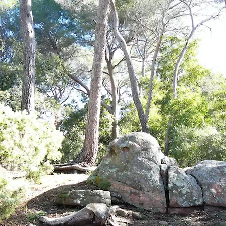 Of 35m At 450m From The *