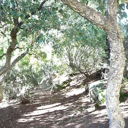 Of 35m At 450m From The *