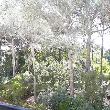 Of 35m At 450m From The * Saint-Raphaël