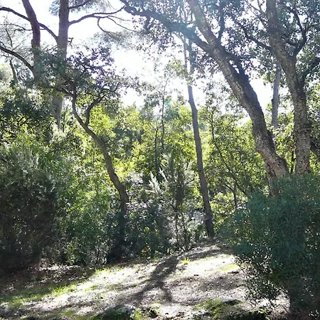 Appartement Of 35m At 450m From The *