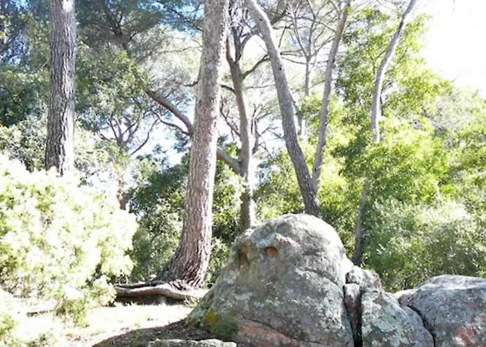 Of 35m At 450m From The *