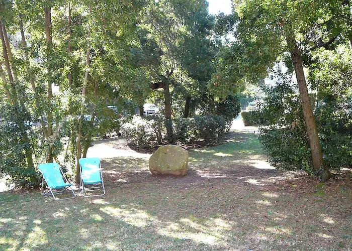 Apartment Of 35m At 450m From The Saint-Raphaël