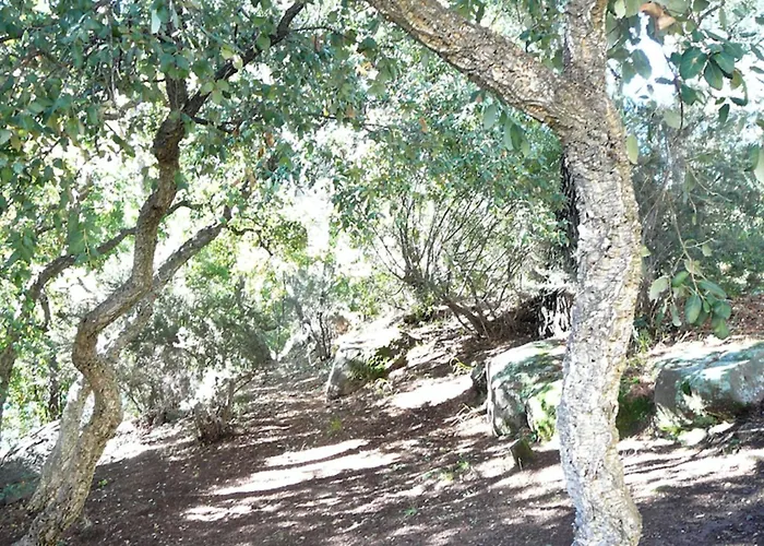 Of 35m At 450m From The *