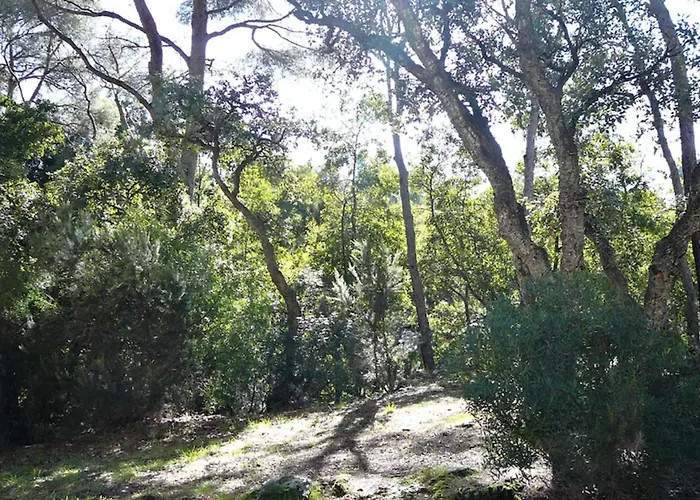 Lägenhet Of 35m At 450m From The *